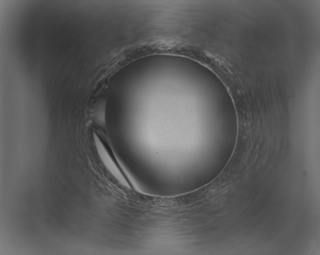X0000073431349200608181136