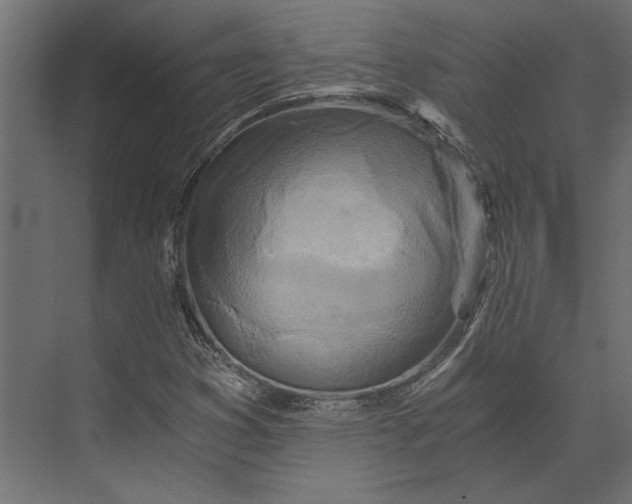 X0000073431353200608181136