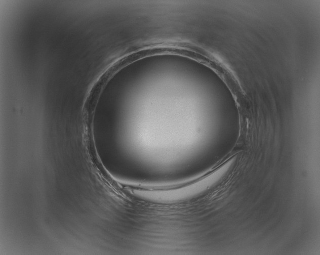 X0000073431360200608181136