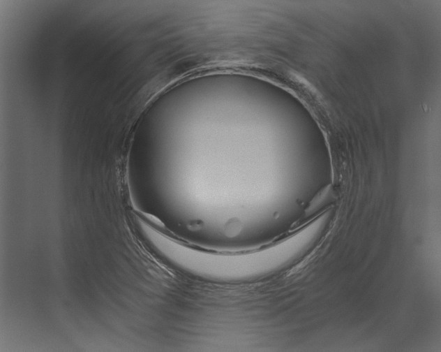 X0000073431361200608181136