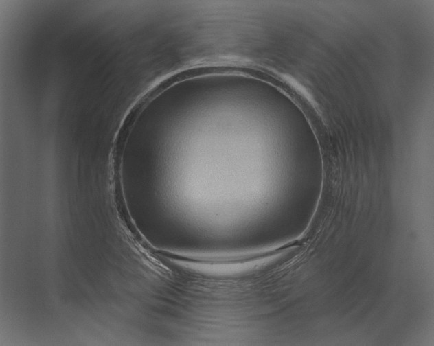X0000073431364200608181136