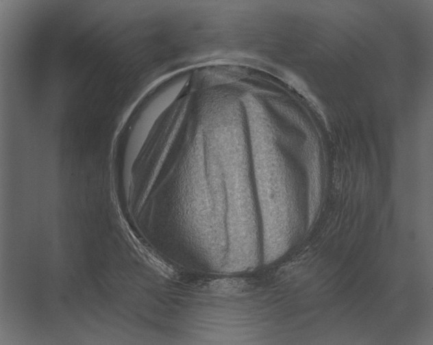 X0000073431368200608181136