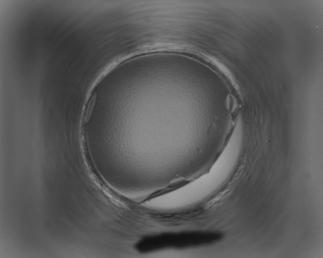 X0000073431373200608181136