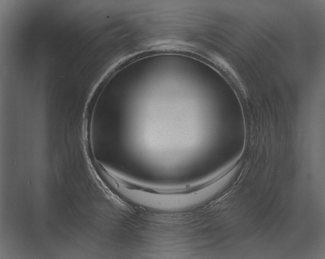 X0000073431376200608181136