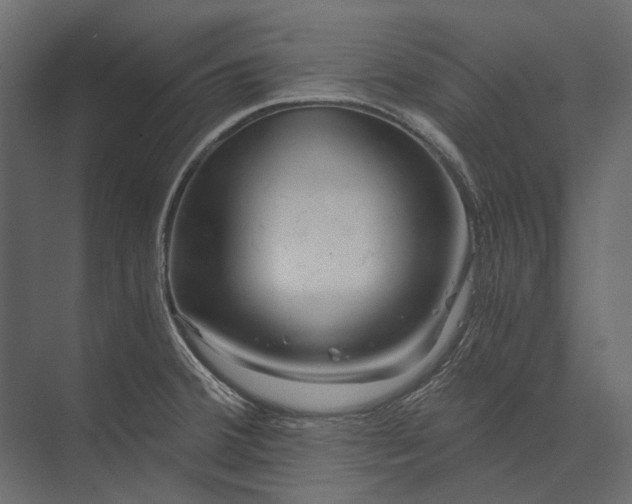 X0000073431380200608181136