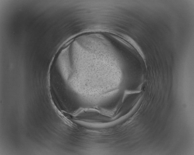 X0000073431388200608181135
