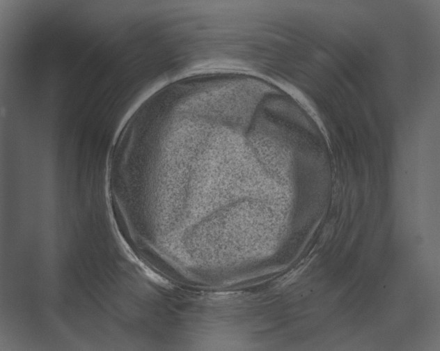 X0000073431390200608181135