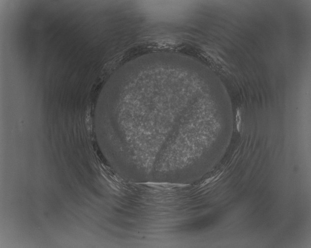 X0000073431395200608181135
