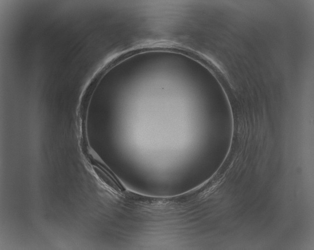 X0000073431414200608181135