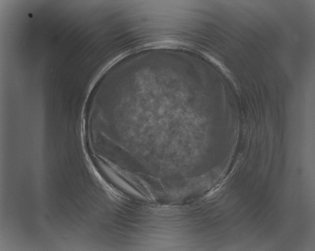 X0000073431418200608181135