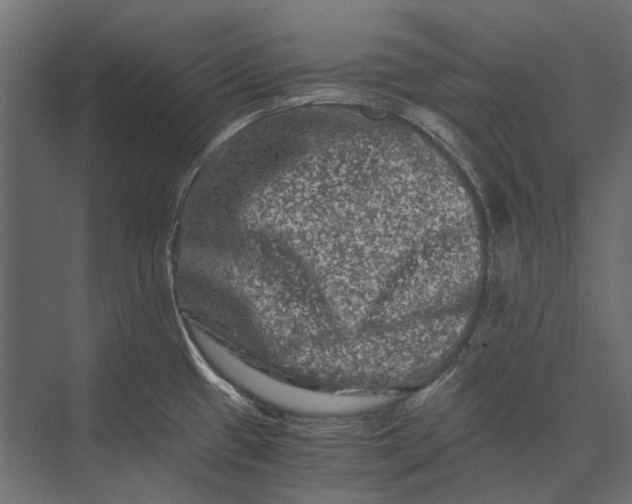 X0000073431433200608181135