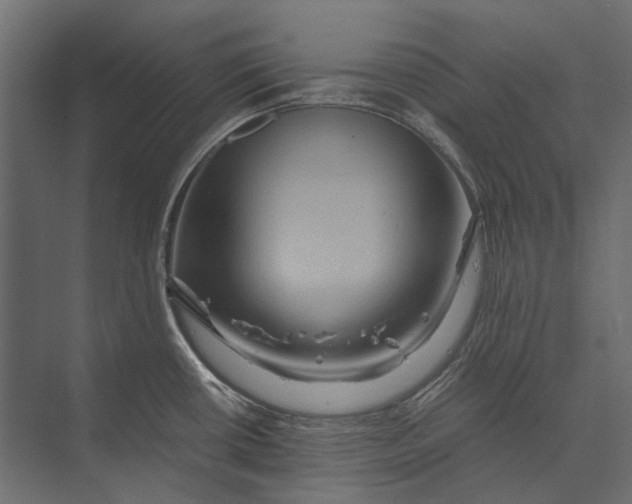 X0000073431434200608181135