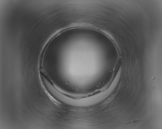 X0000073431438200608181135