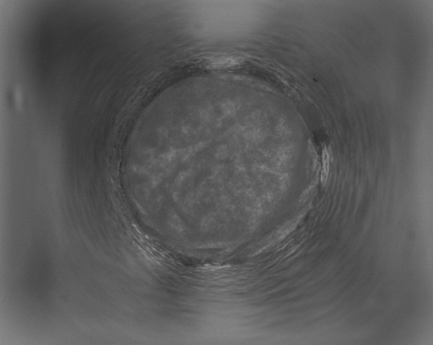 X0000073431441200608181135