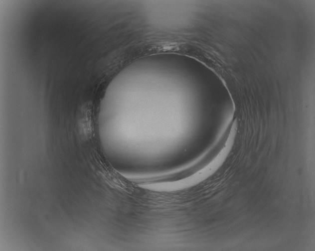 X0000073431442200608181135