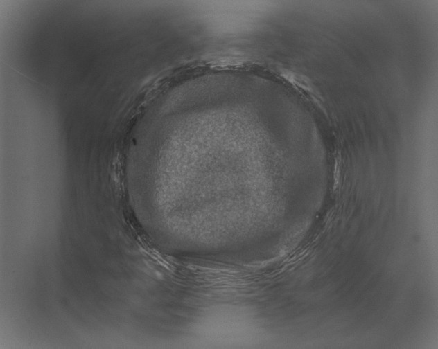 X0000073431445200608181135
