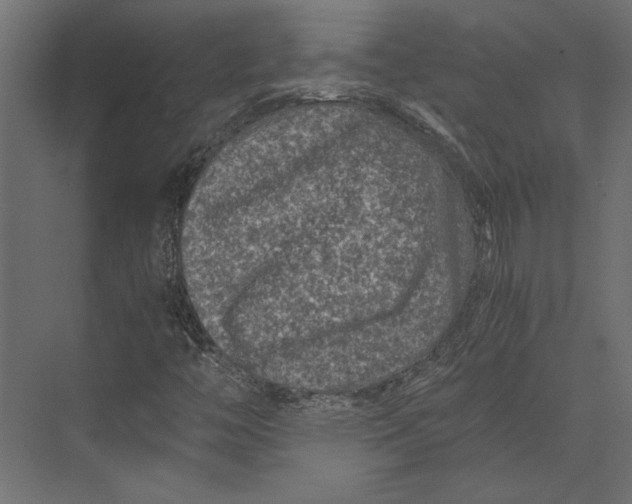 X0000073431446200608181135