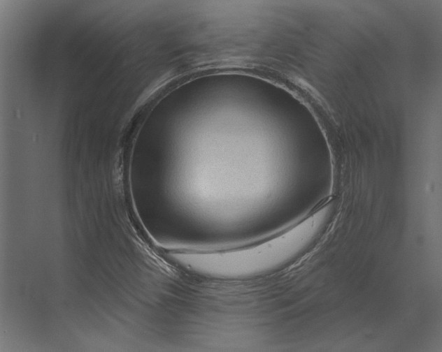 X0000073431450200608181134