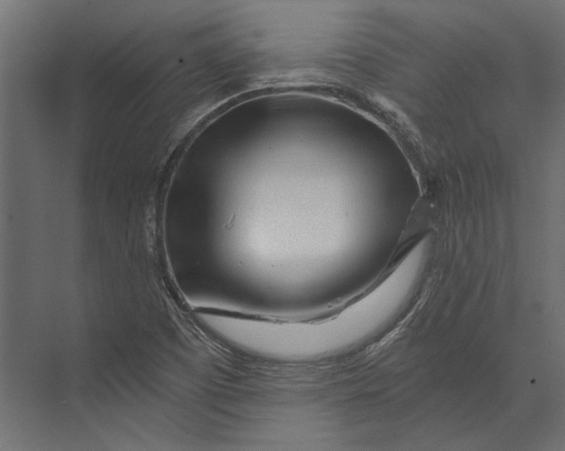X0000073431457200608181134