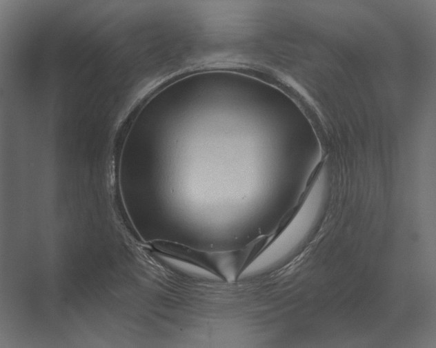 X0000073431461200608181134