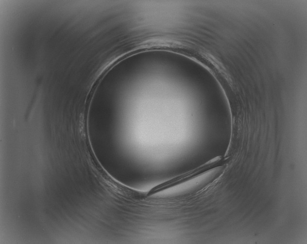 X0000073431465200608181134