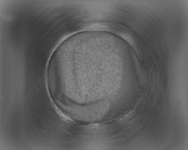 X0000073431478200608181134