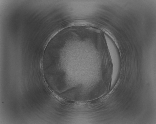 X0000073431481200608181134
