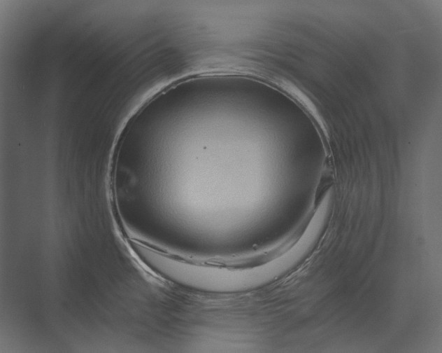 X0000073431485200608181134