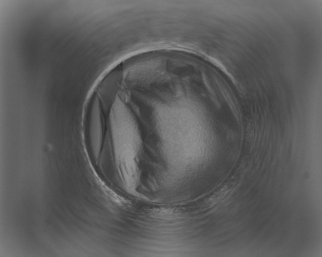 X0000073431508200608181133