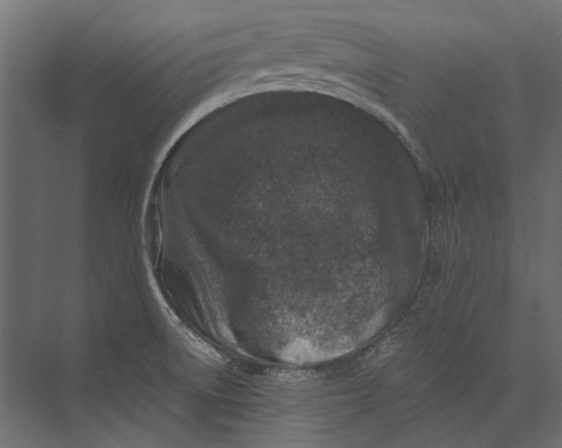 X0000073431522200608181134
