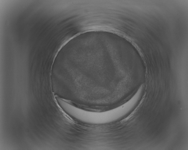 X0000073431529200608181134