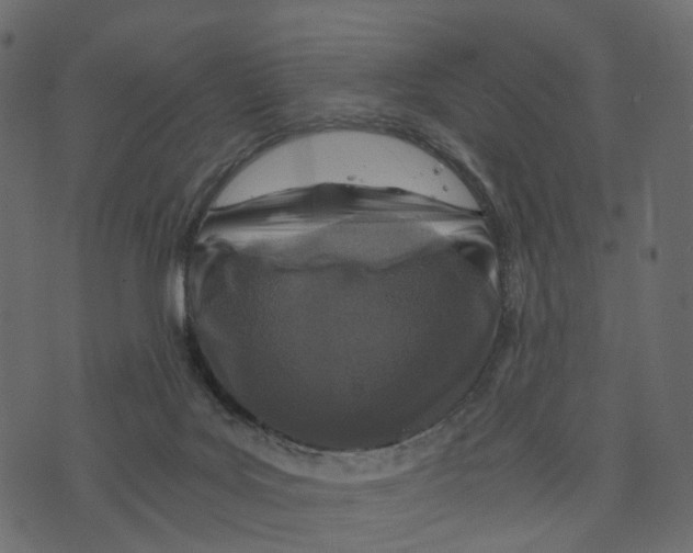 X0000073430027200608251627