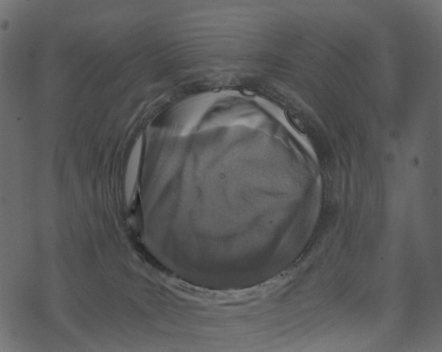 X0000073430035200608251627