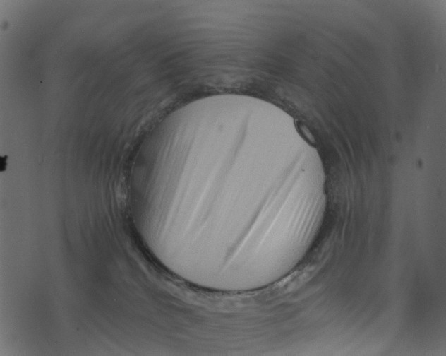 X0000073430040200608251626
