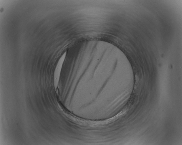 X0000073430048200608251626
