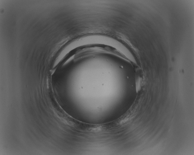 X0000073430068200608251626