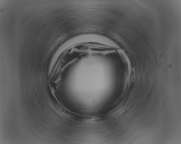 X0000073430072200608251626