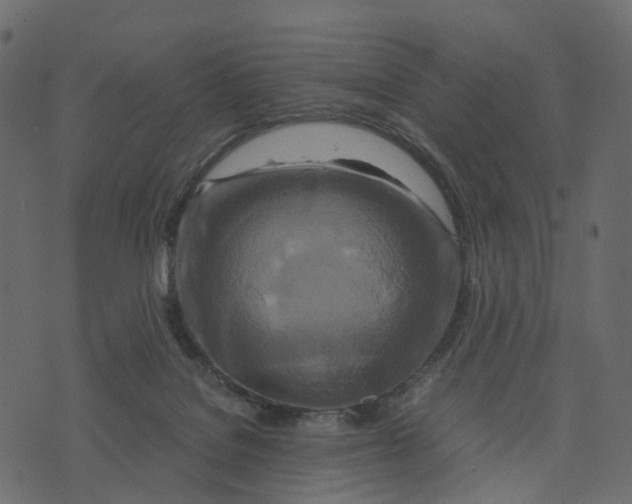 X0000073430076200608251626