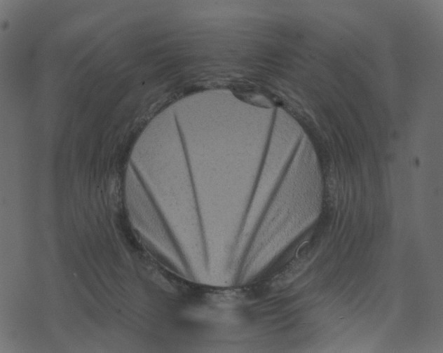 X0000073430079200608251626