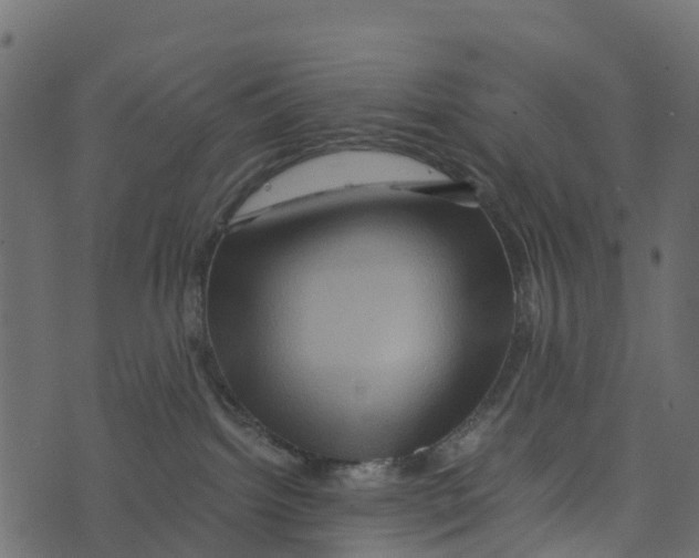 X0000073430092200608251626