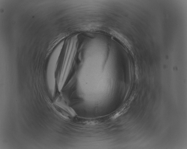 X0000073430105200608251625