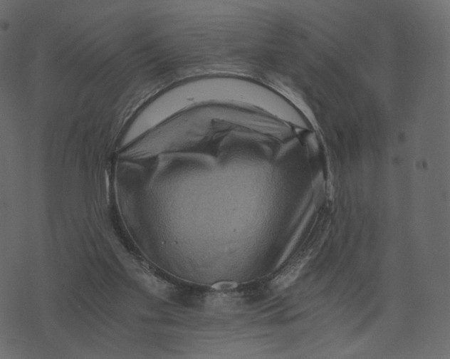 X0000073430109200608251625