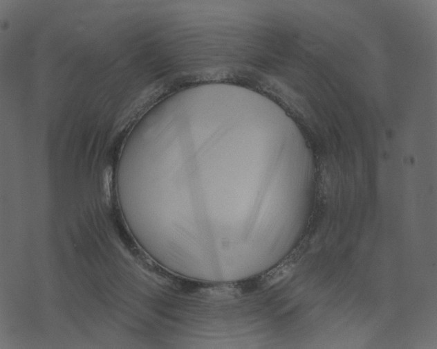X0000073430118200608251625