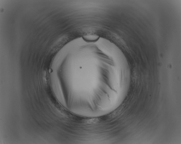 X0000073430122200608251625