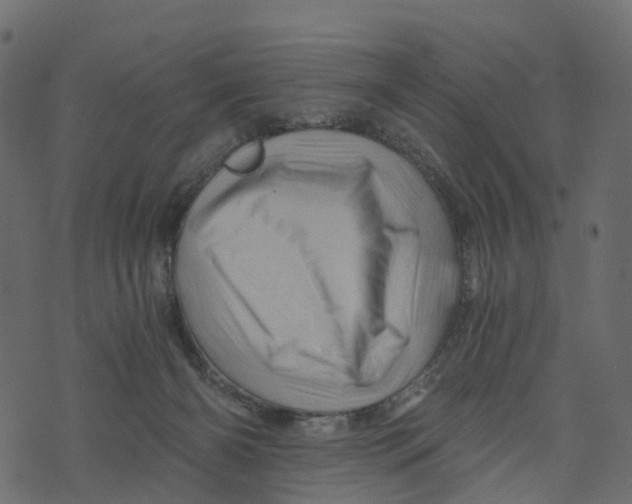 X0000073430126200608251625