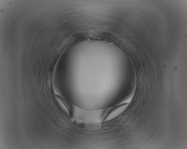 X0000073430129200608251625