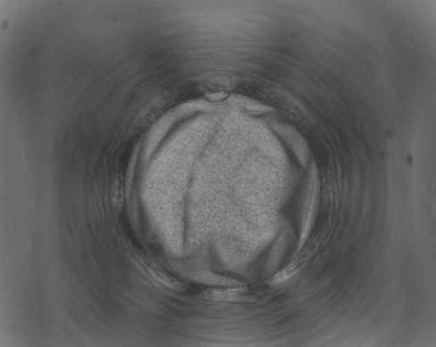 X0000073430134200608251625