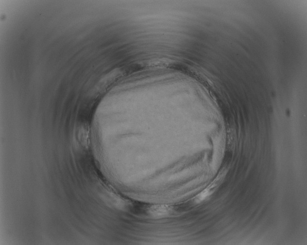 X0000073430142200608251625