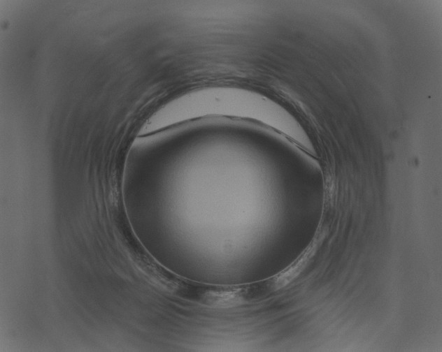 X0000073430170200608251624