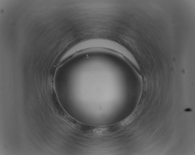 X0000073430172200608251624